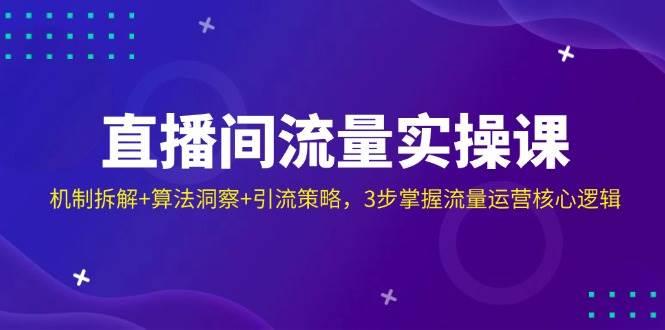 直播间流量实操课：机制拆解+算法洞察+引流策略，3步掌握流量运营核心逻辑勾八项目-每天更新副业赚钱项目,副业,网创,创业者的聚集地勾八项目